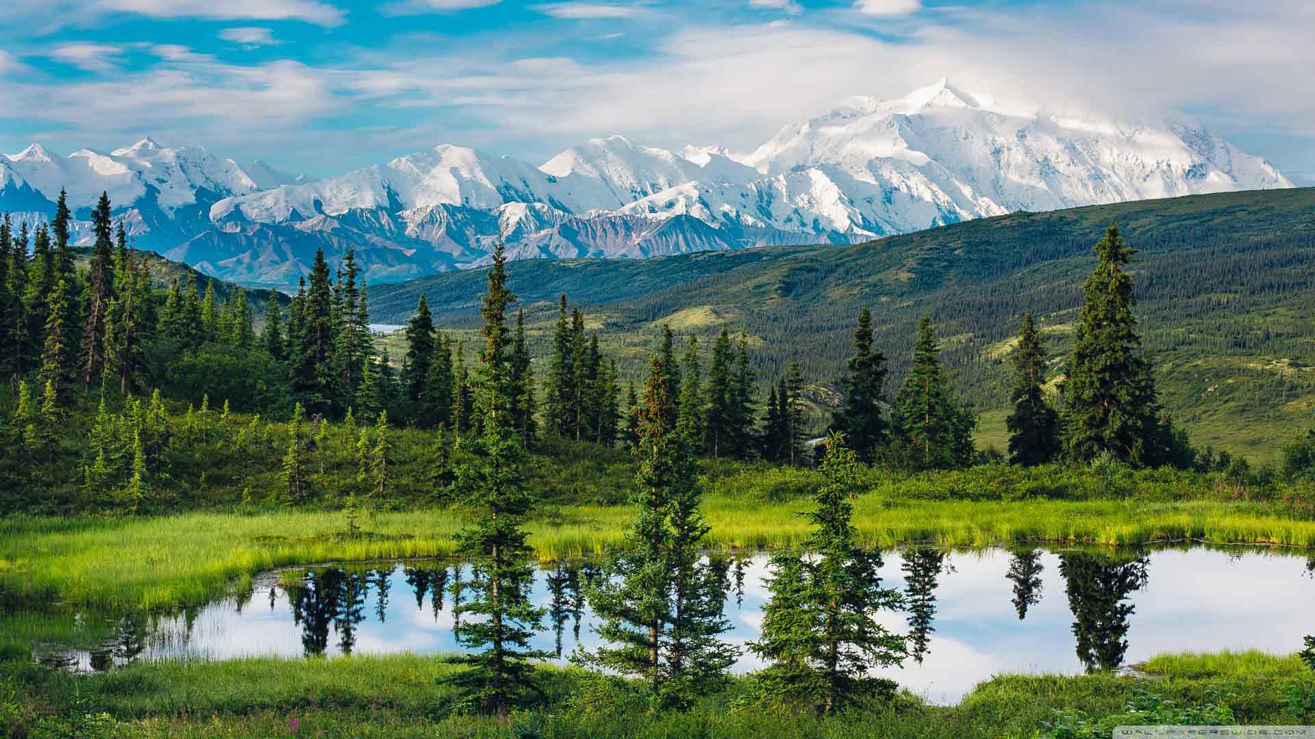 阿拉斯加山脉 美丽的山景