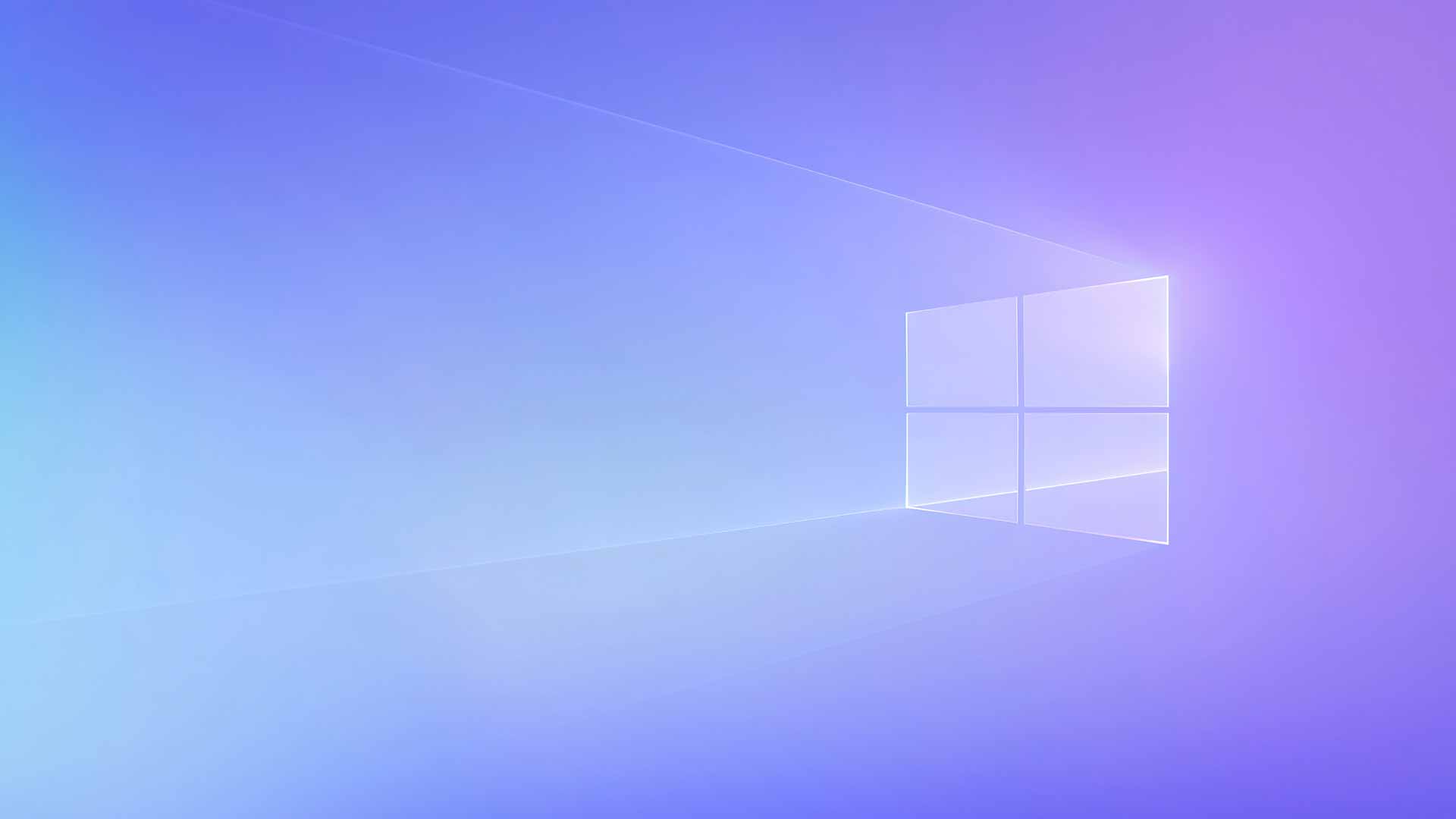 Windows 11 365 紫色背景 4K壁纸