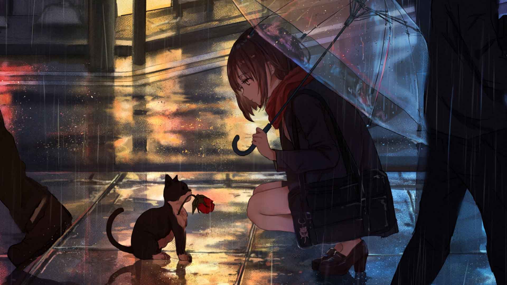 动漫女孩 雨伞 透明雨伞 下雨动漫 夜晚雨夜猫