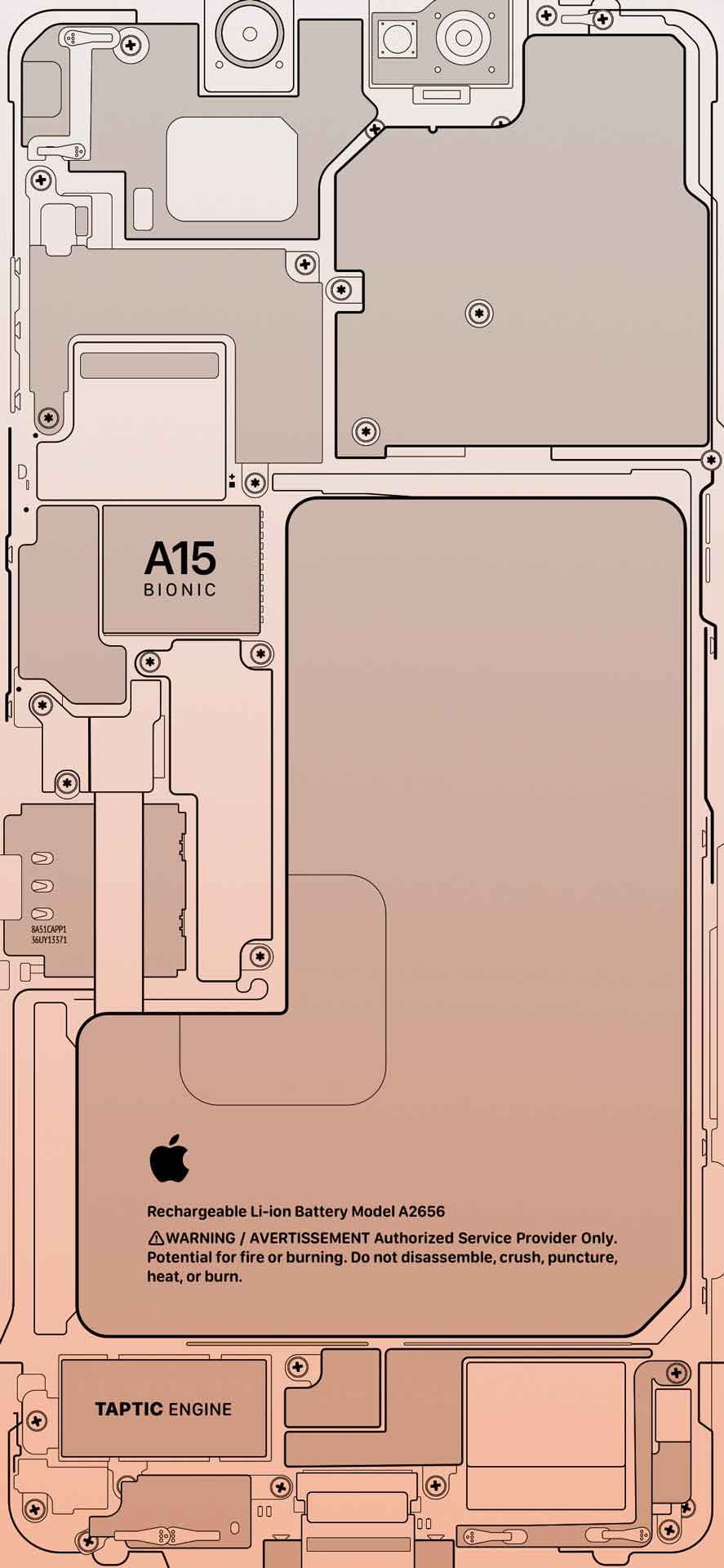 iPhone A15 透视壁纸