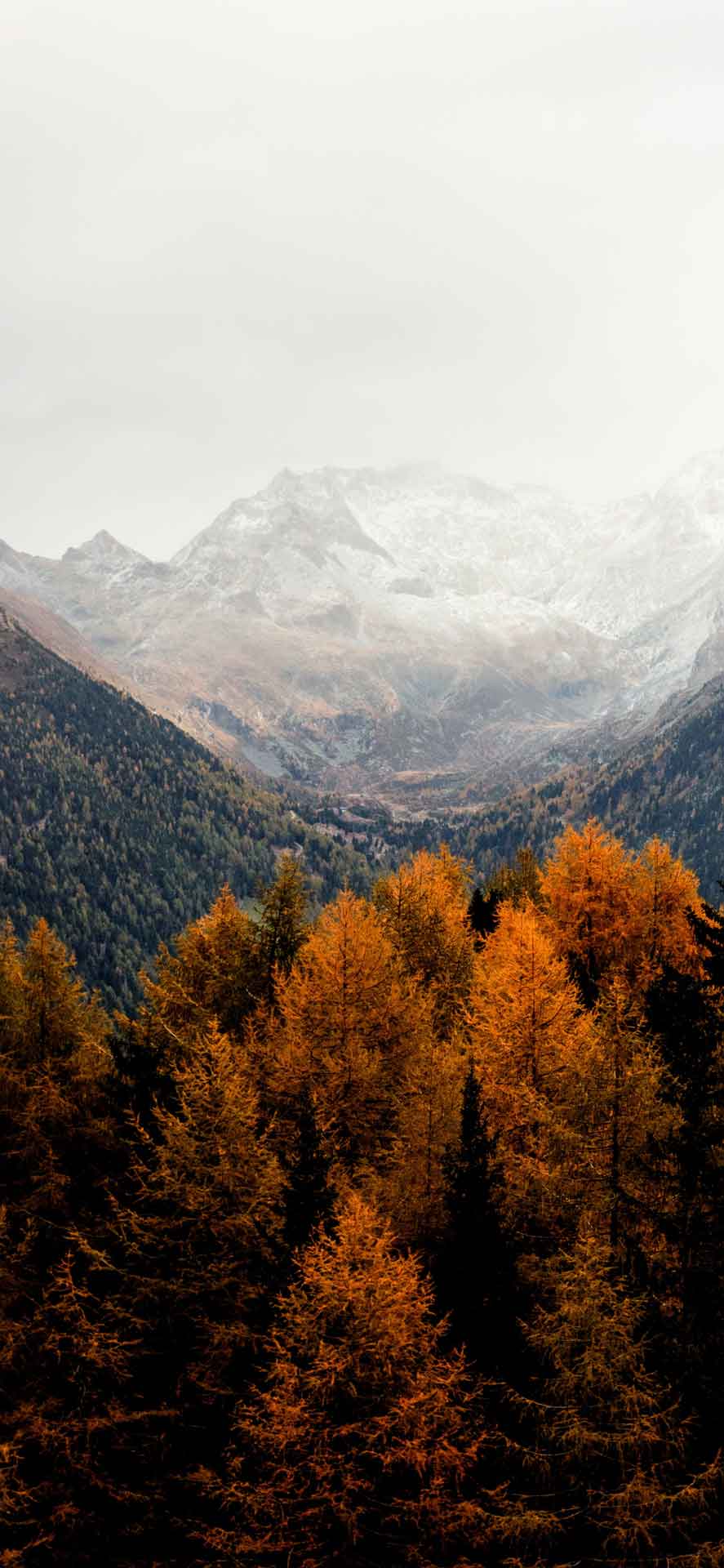 秋天的雪山谷 iPhone 壁纸