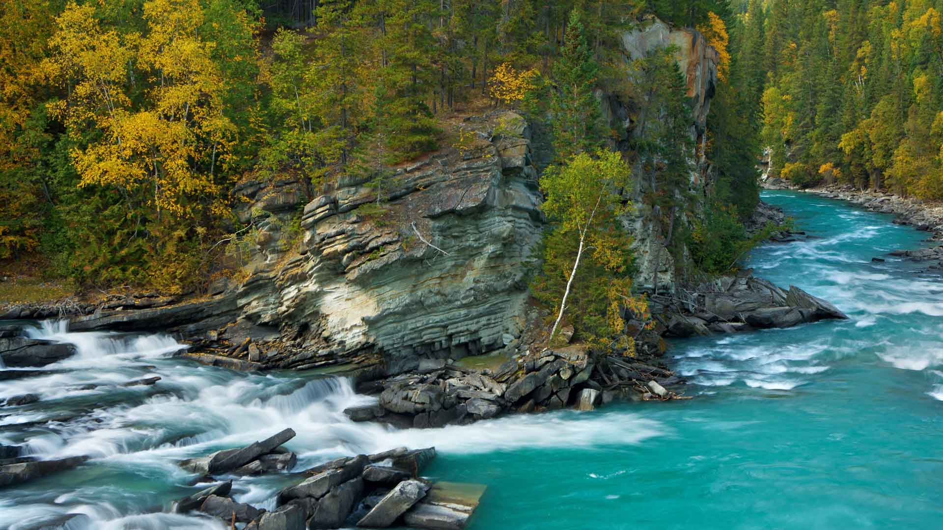 罗布森山附近的弗雷泽河，大不列颠哥伦比亚省，加拿大 必应壁纸