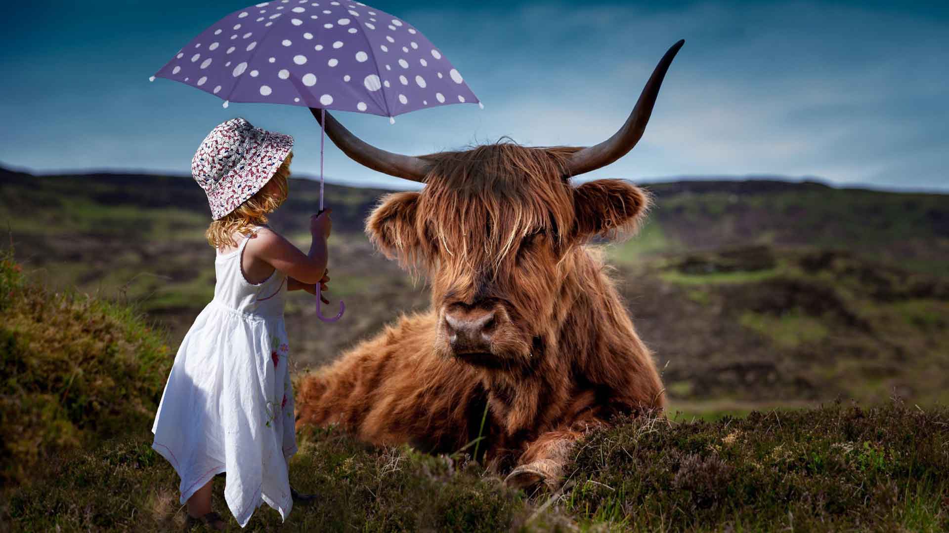 一个小女孩和高地牛