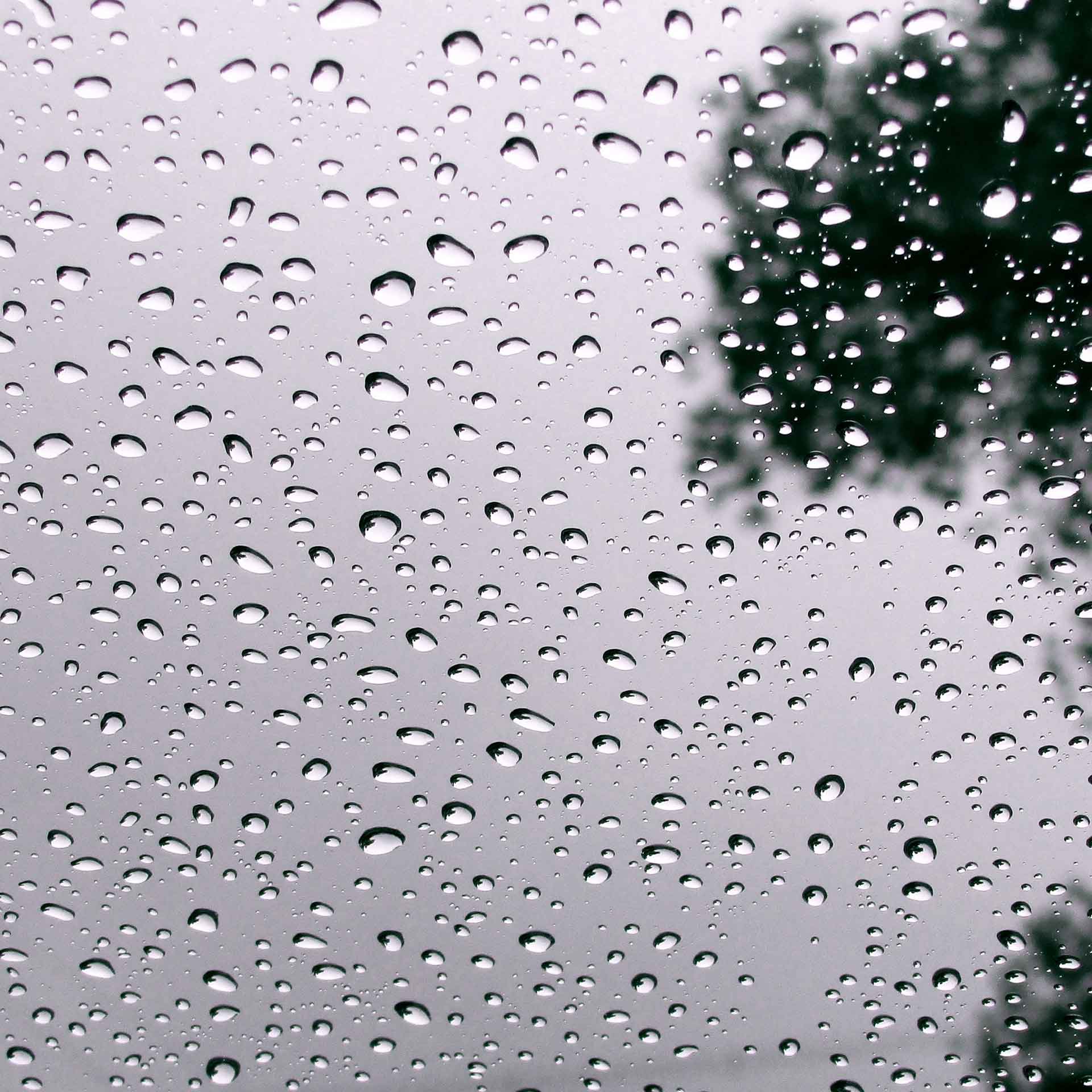 雨滴散景壁纸