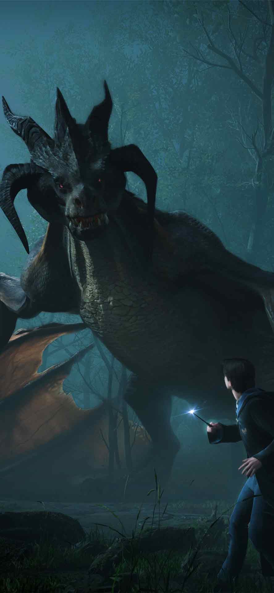 龙穴霍格沃茨之遗壁纸