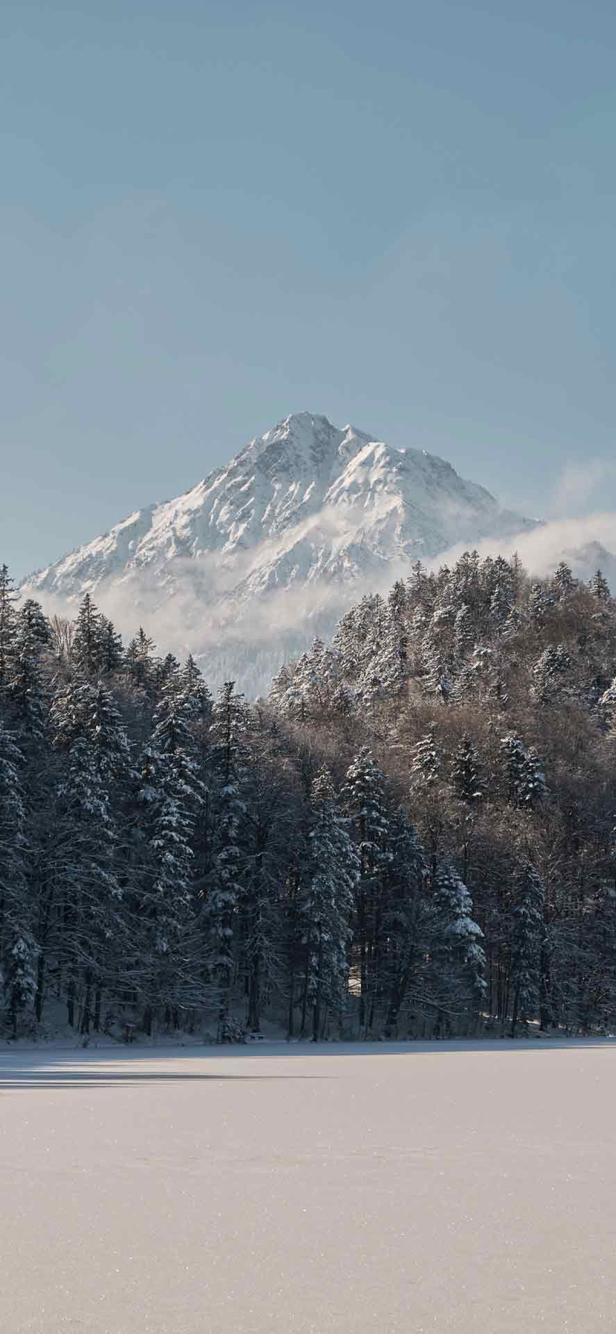 风景冬天iPhone壁纸