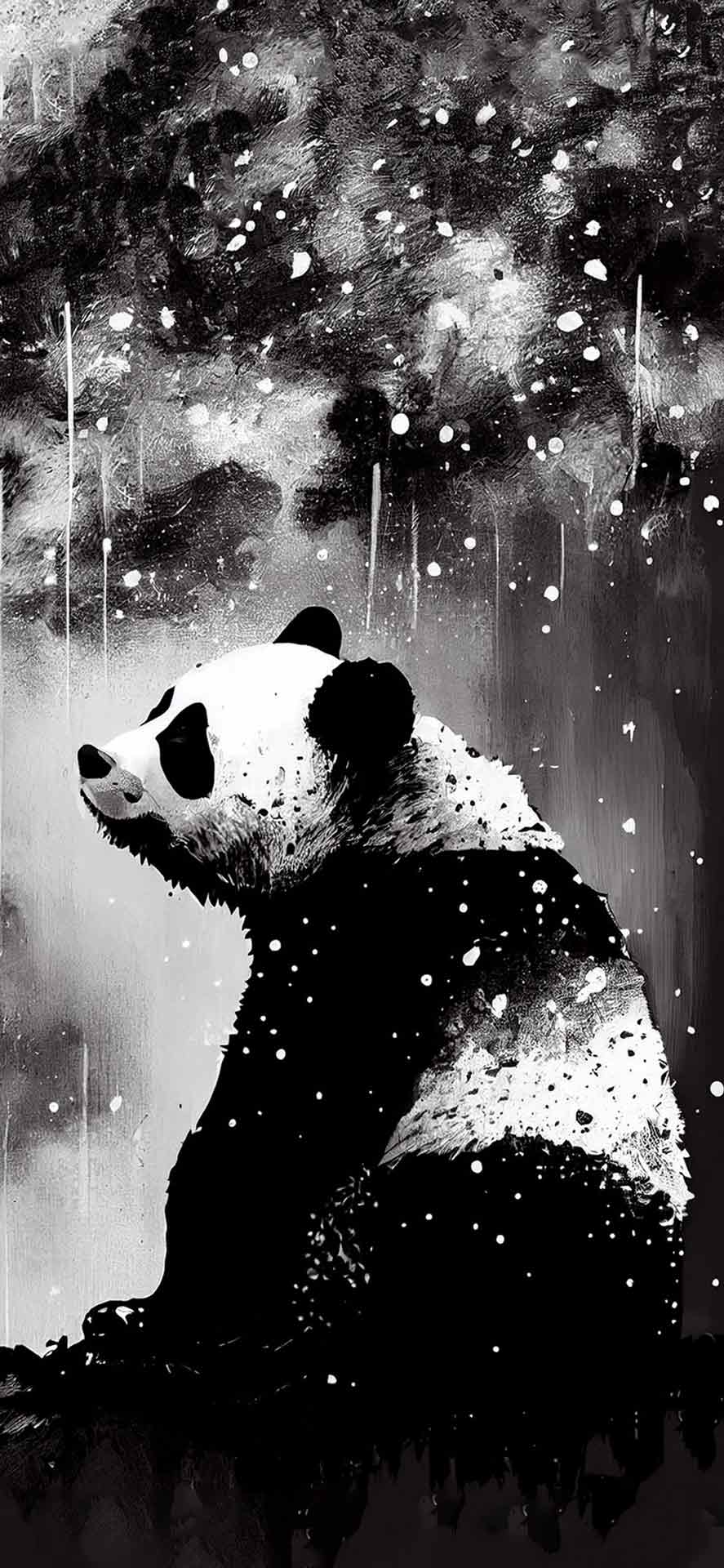 悲伤的熊猫黑白壁纸