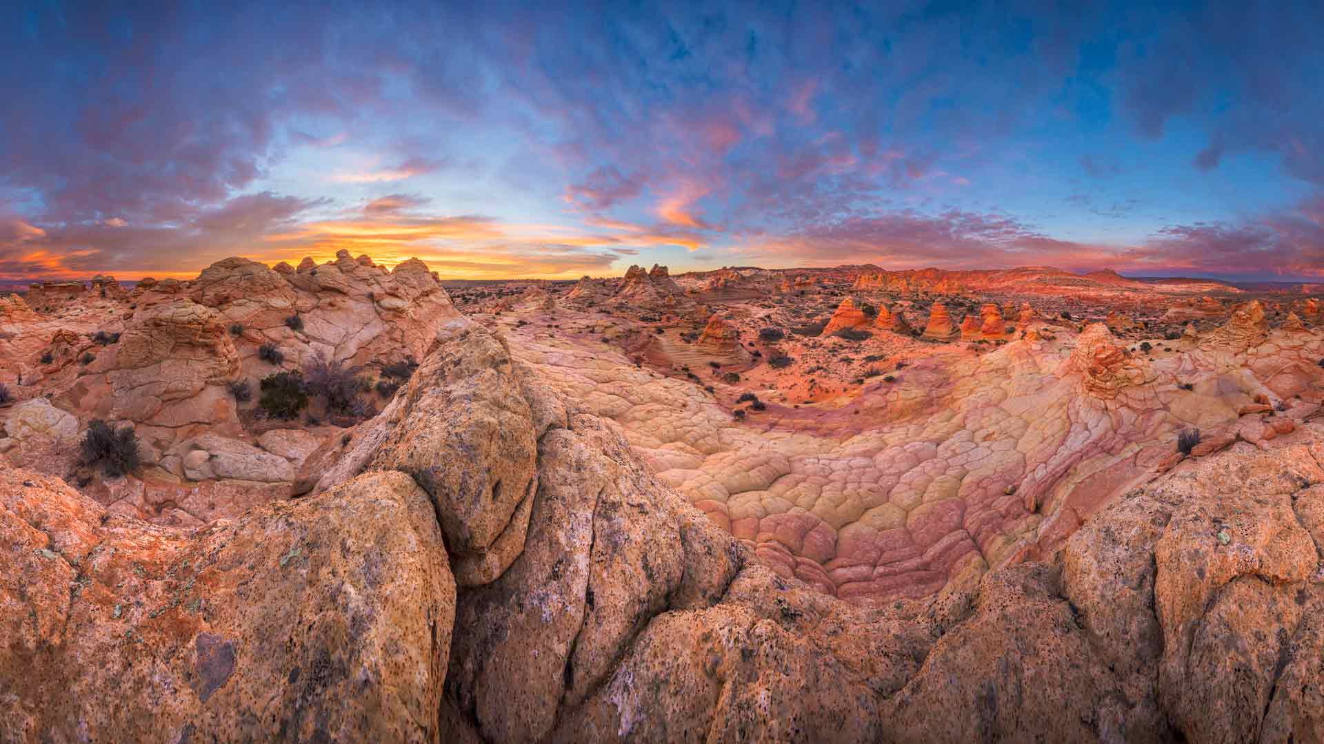 砂岩岩层，红悬崖国家保护区，亚利桑那州，美国