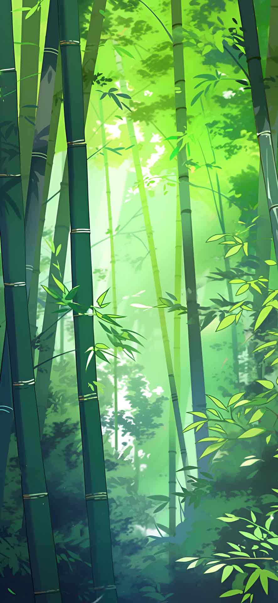 茂密的竹林绿色壁纸