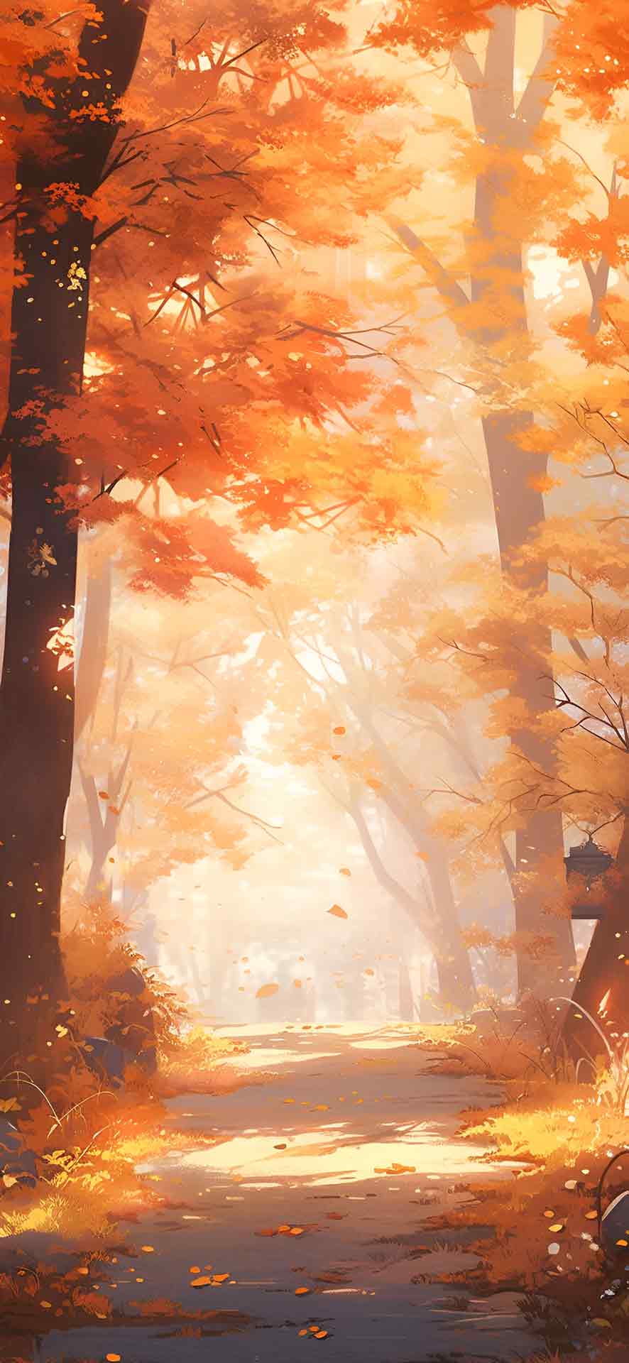 秋季唯美阳光森林壁纸