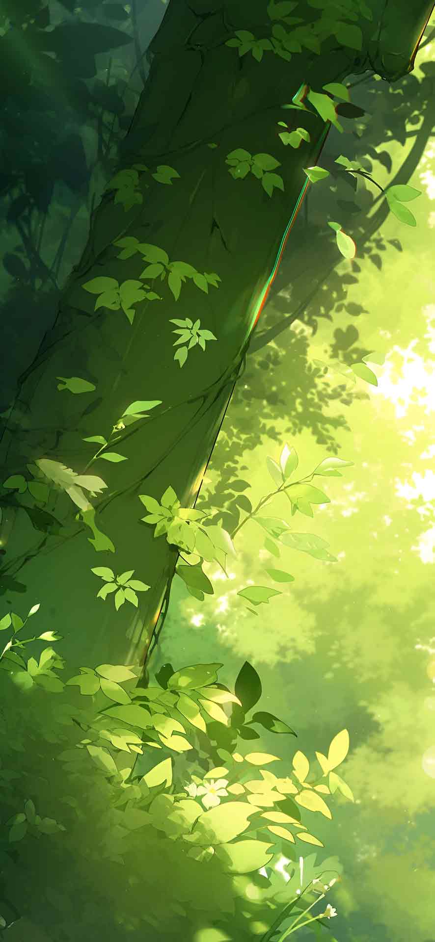 绿色阳光照射的森林自然壁纸