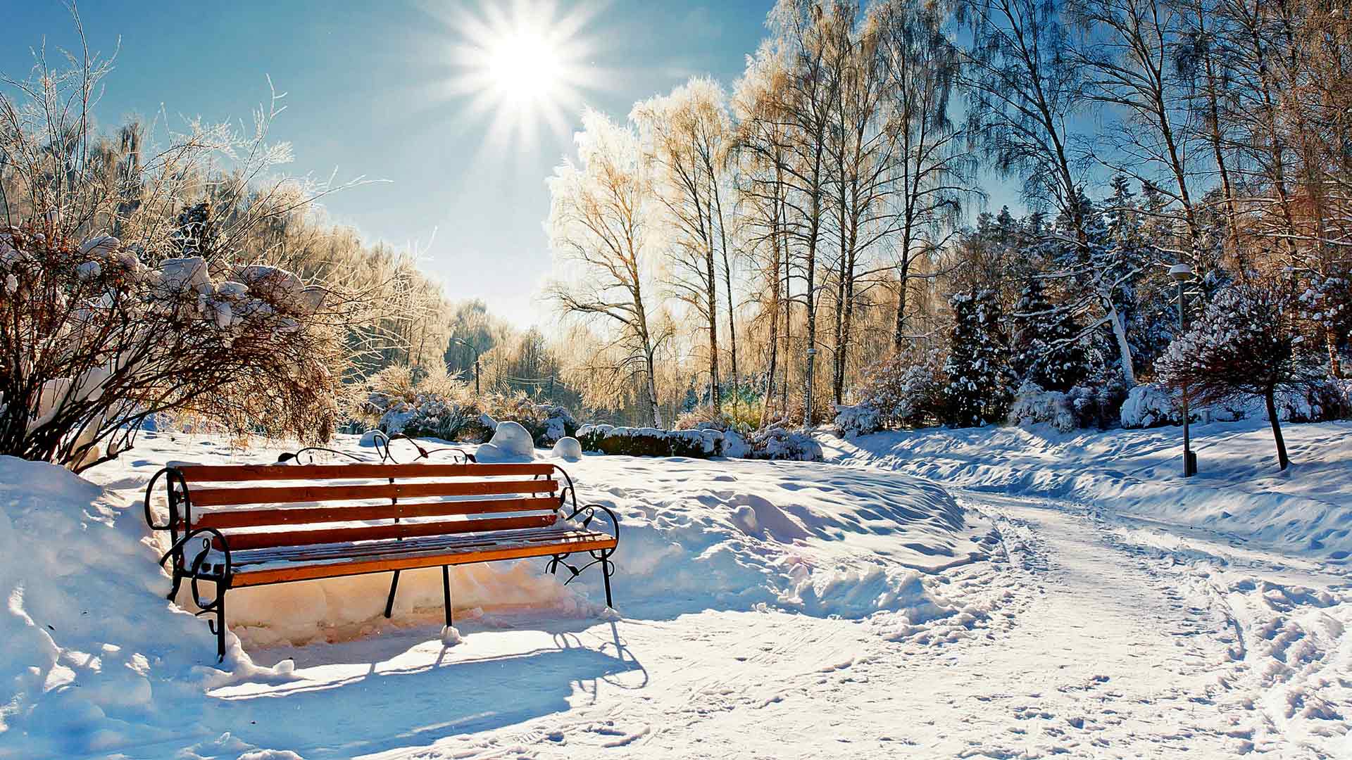 阳光下的冬季公园