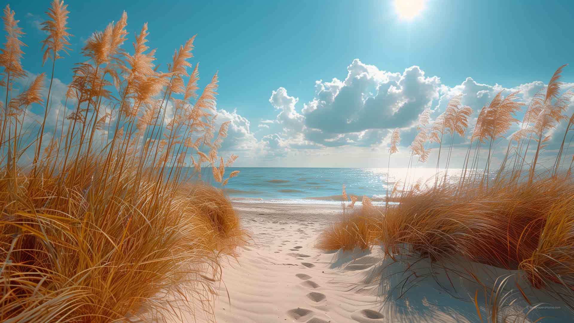 macOS 海滩 沙 海 海洋