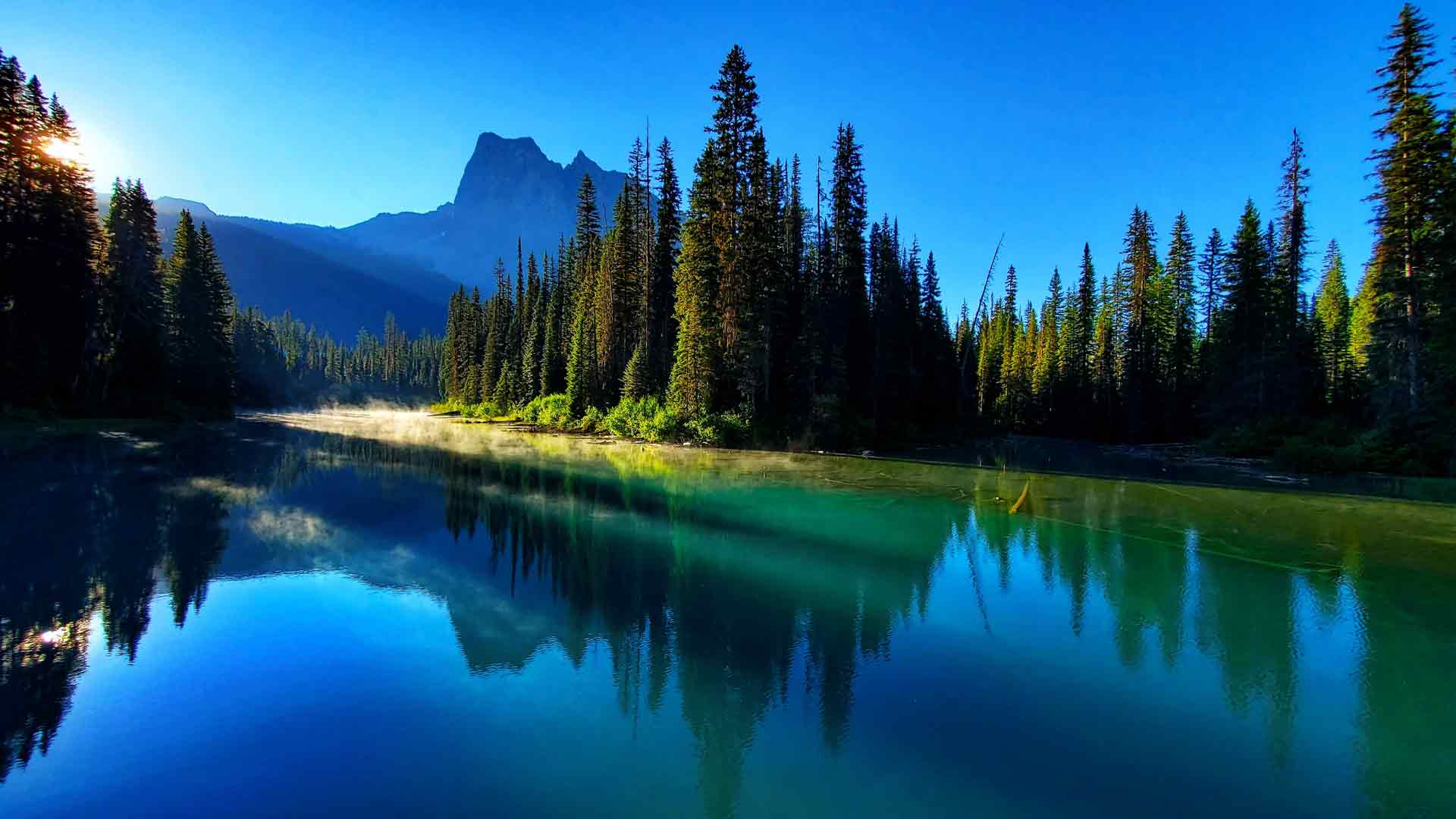 山湖加拿大自然森林树林