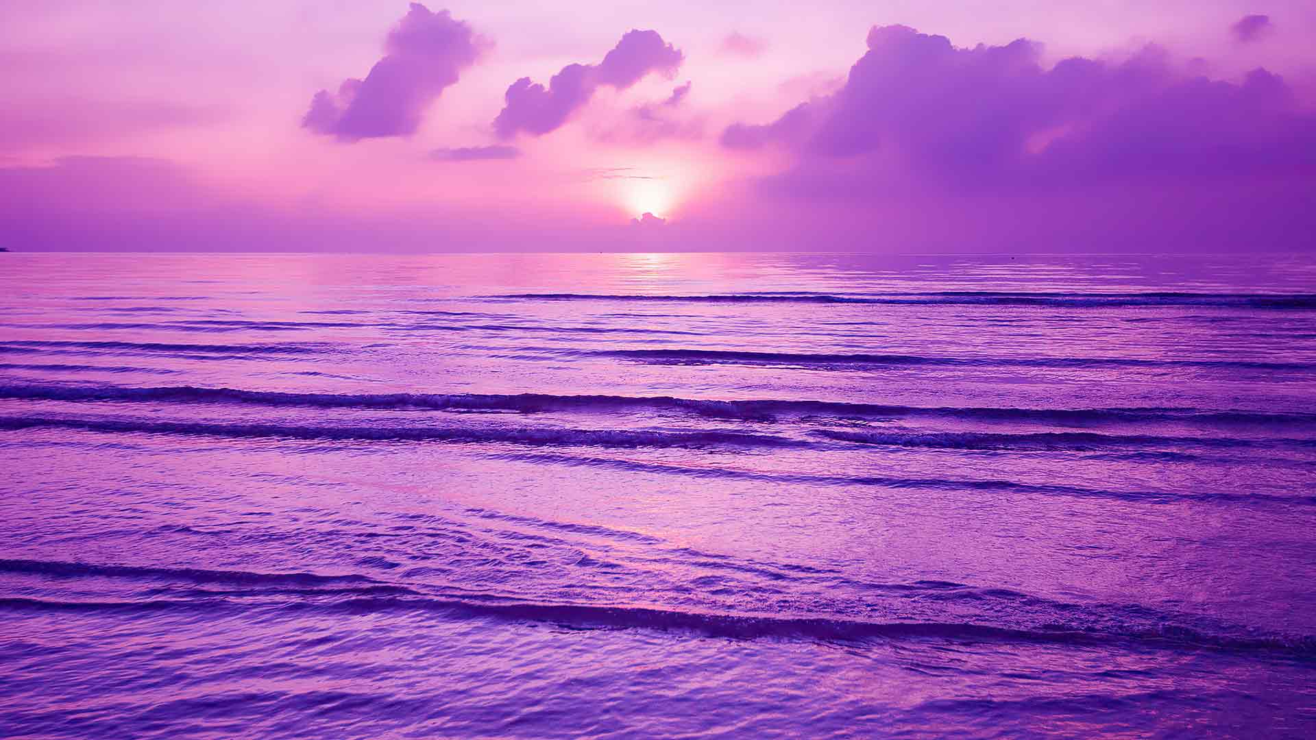 紫色日落 4k