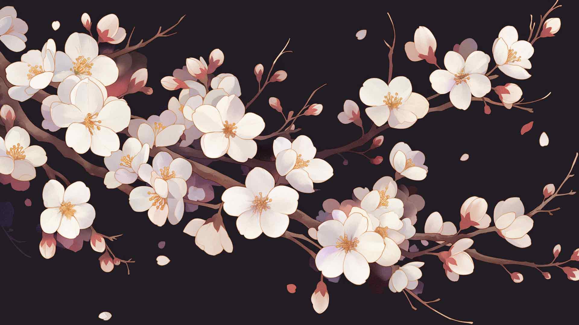 树枝与白色的花朵春天桌面壁纸