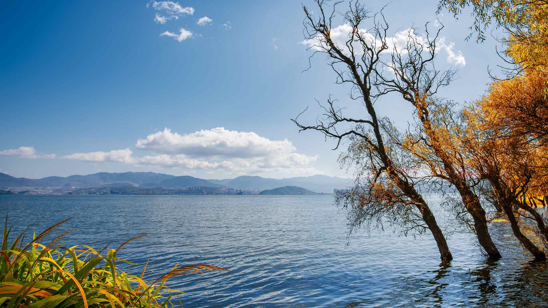 秋季 蓝天 湖泊 自然 风景照片