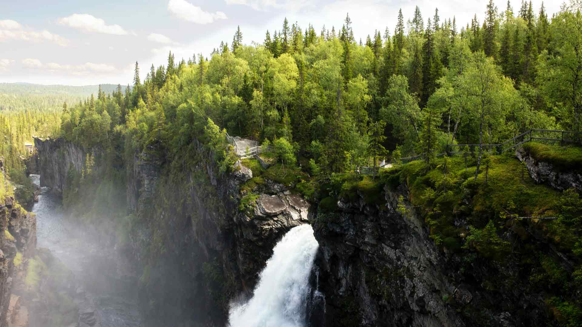 森林 山 悬崖 瀑布