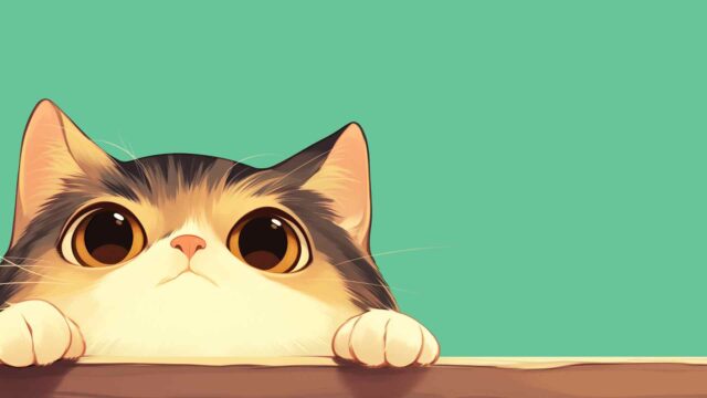 可爱的猫咪在边缘偷看桌面壁纸