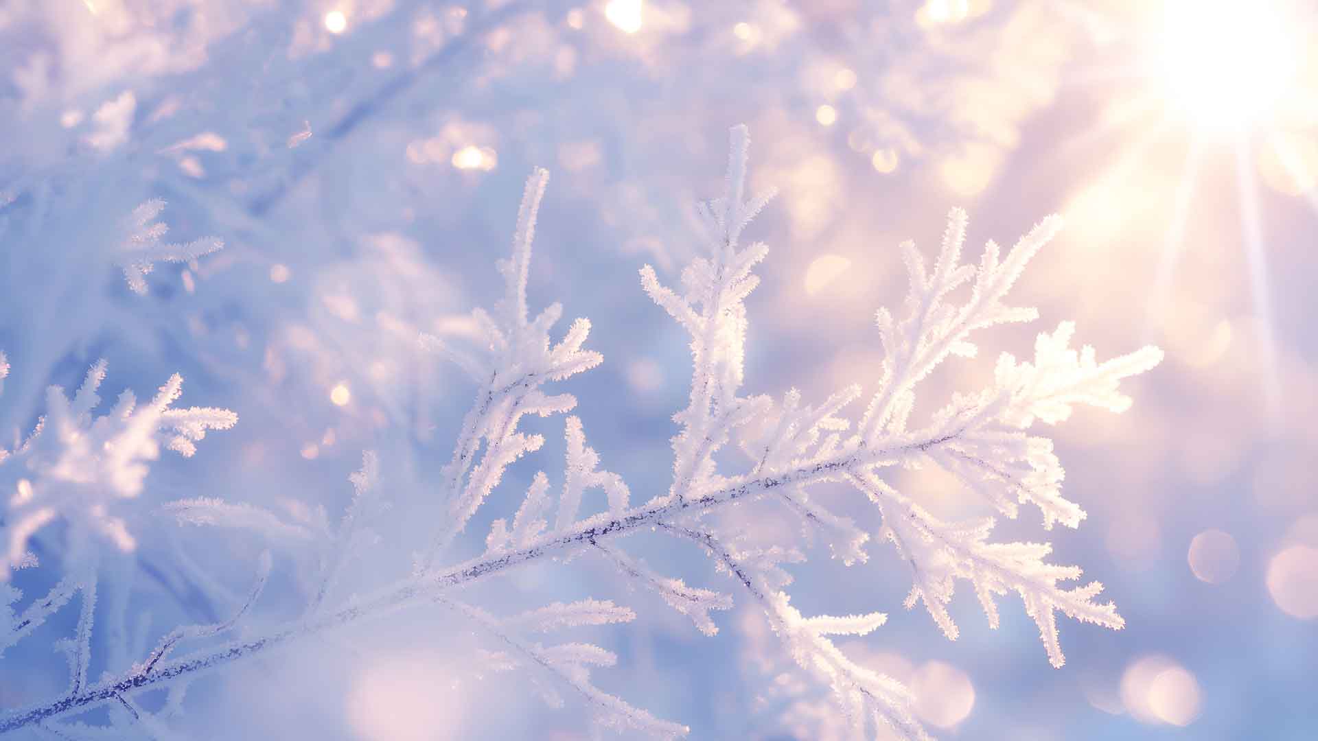 寒冷的冬天雪花桌面壁纸