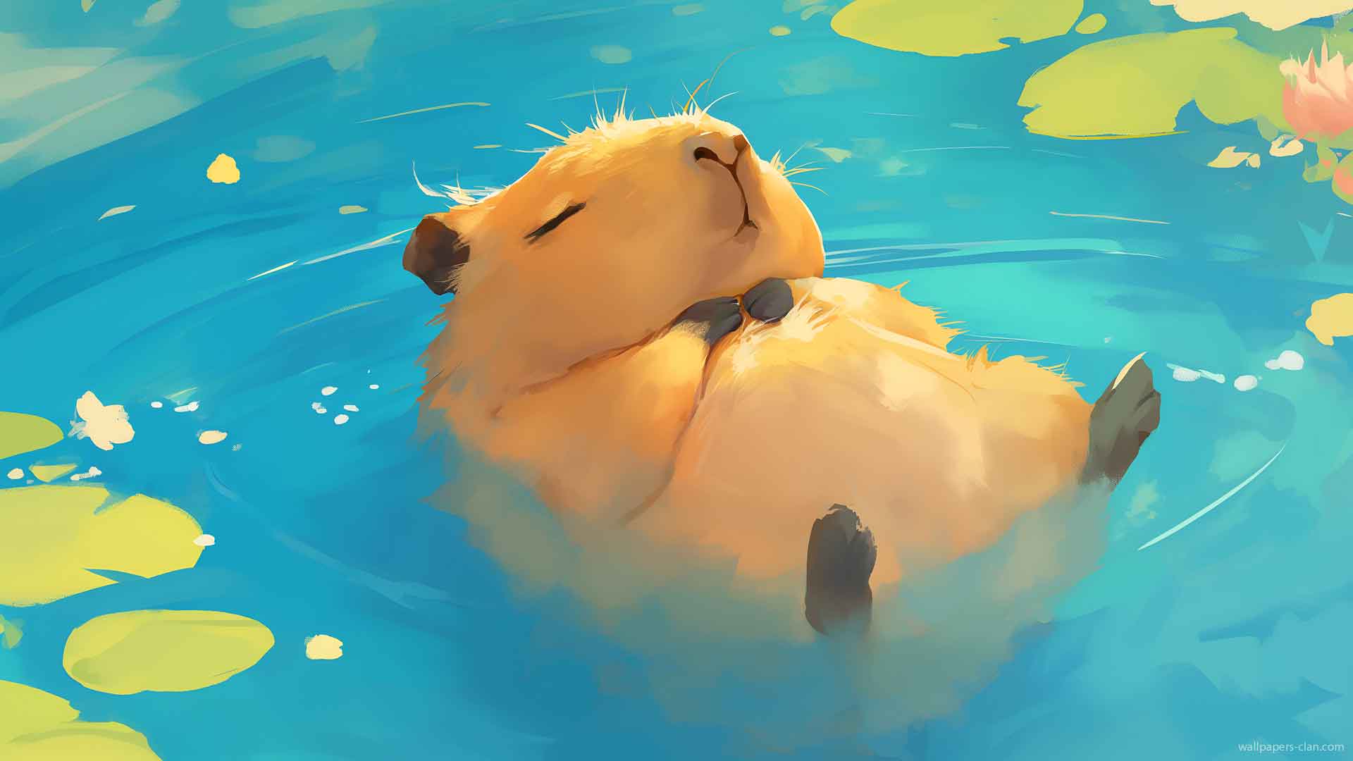 放松的水豚漂浮湖桌面壁纸