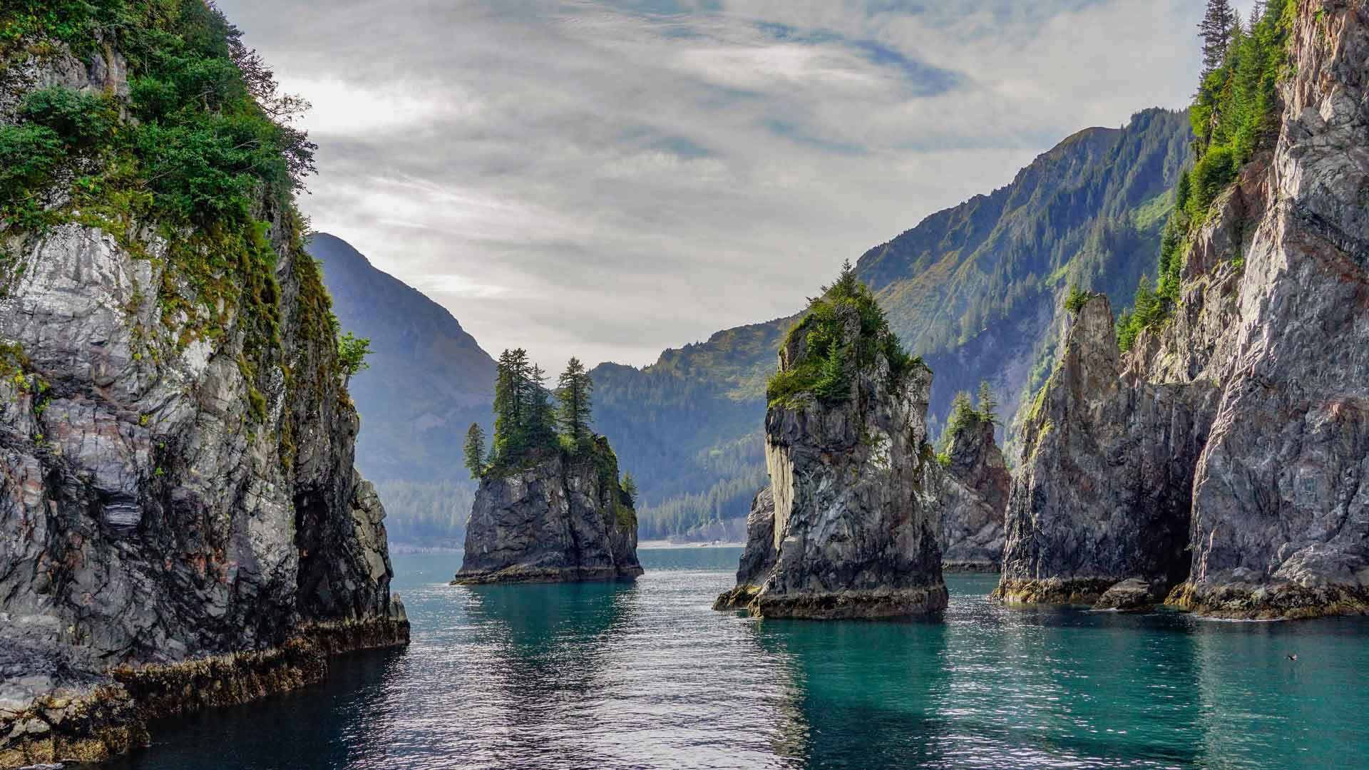 阿拉斯加基奈峡湾国家公园尖顶湾, 阿拉斯加州苏厄德, 美国