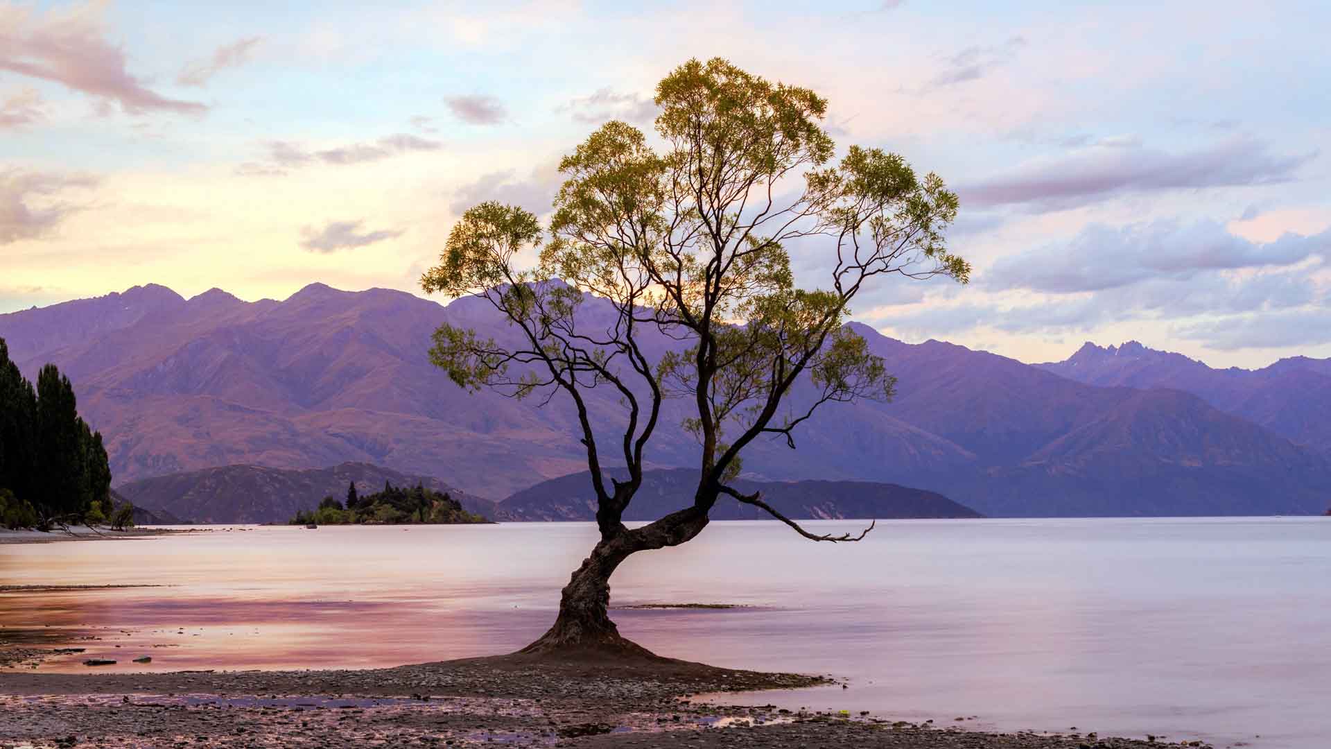 孤树湖高山黄昏风景