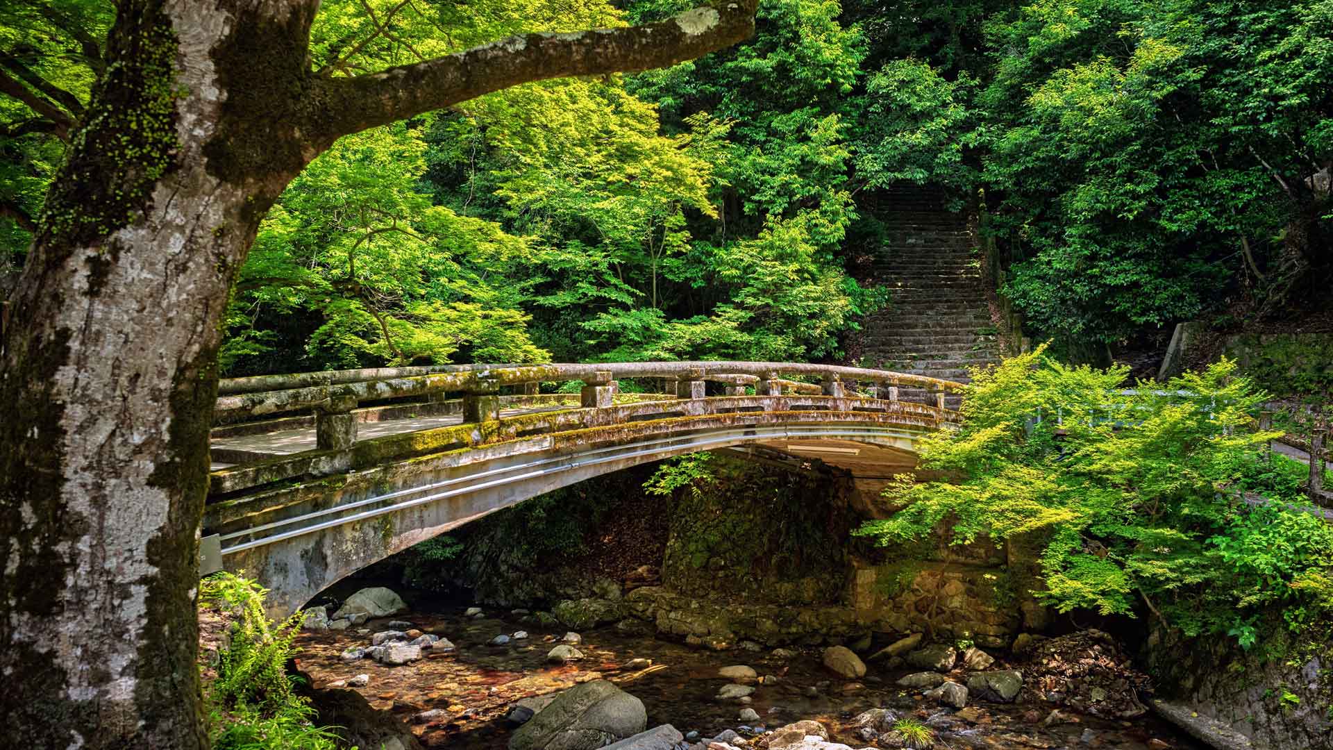 箕面桥，河流公园，台阶，丛林，日本，5K