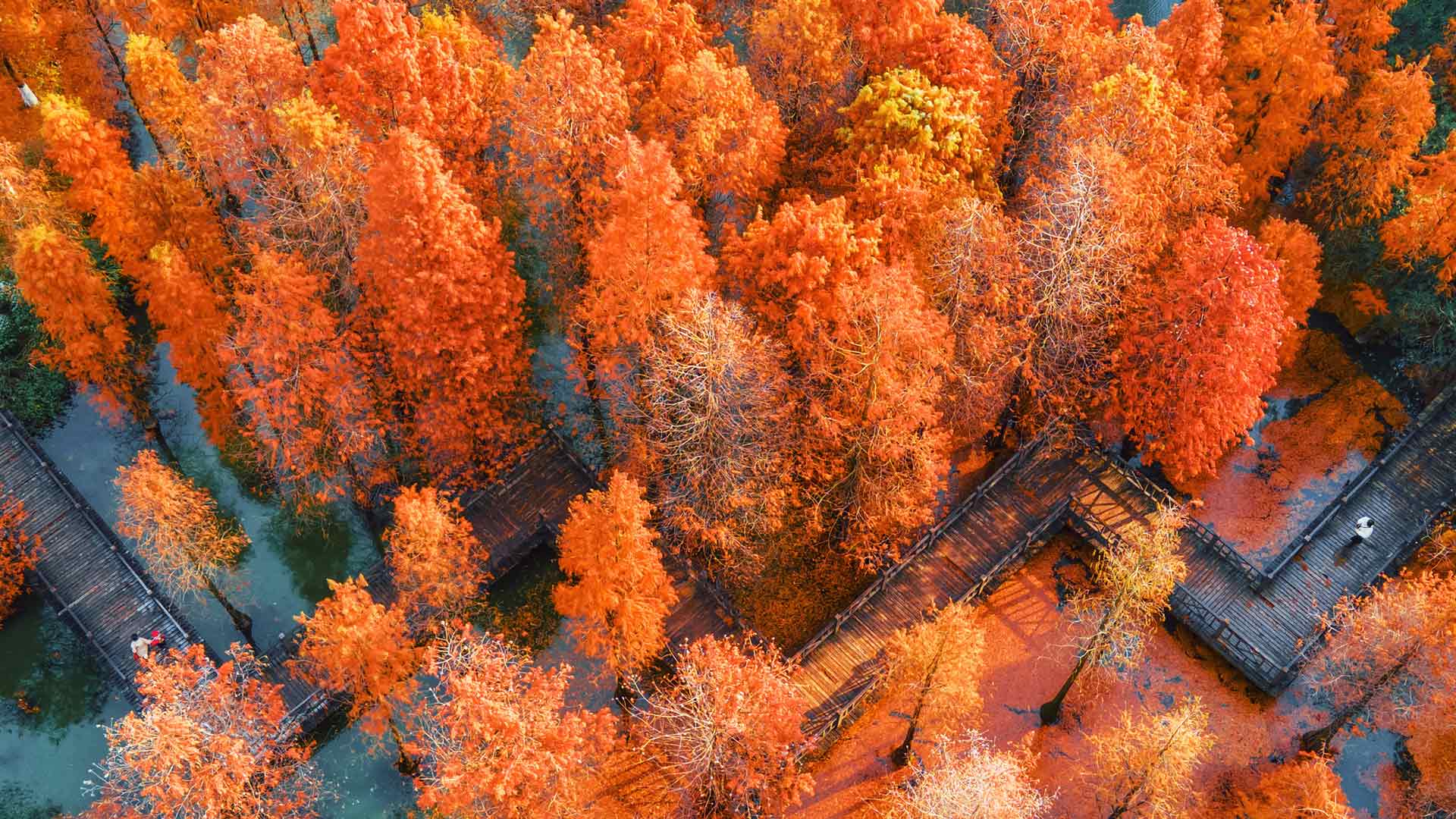 航拍中国江苏省常州翠竹公园