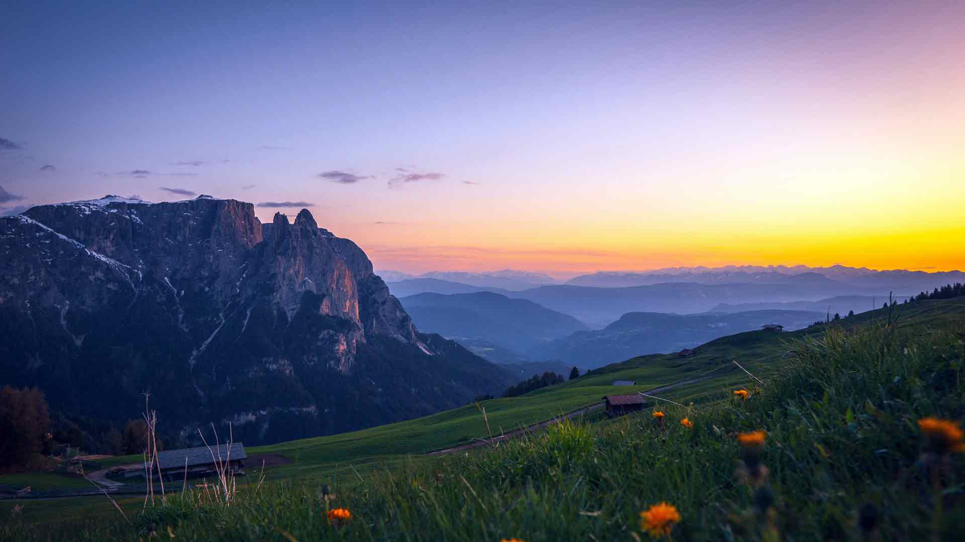 地平线阿尔卑斯山山谷野花日落