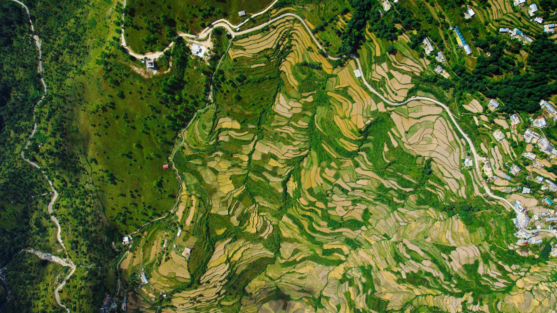 从上面俯瞰 Ghansali 村桌面壁纸