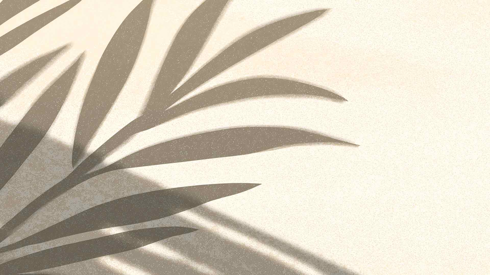 米色树叶阴影墙壁桌面壁纸