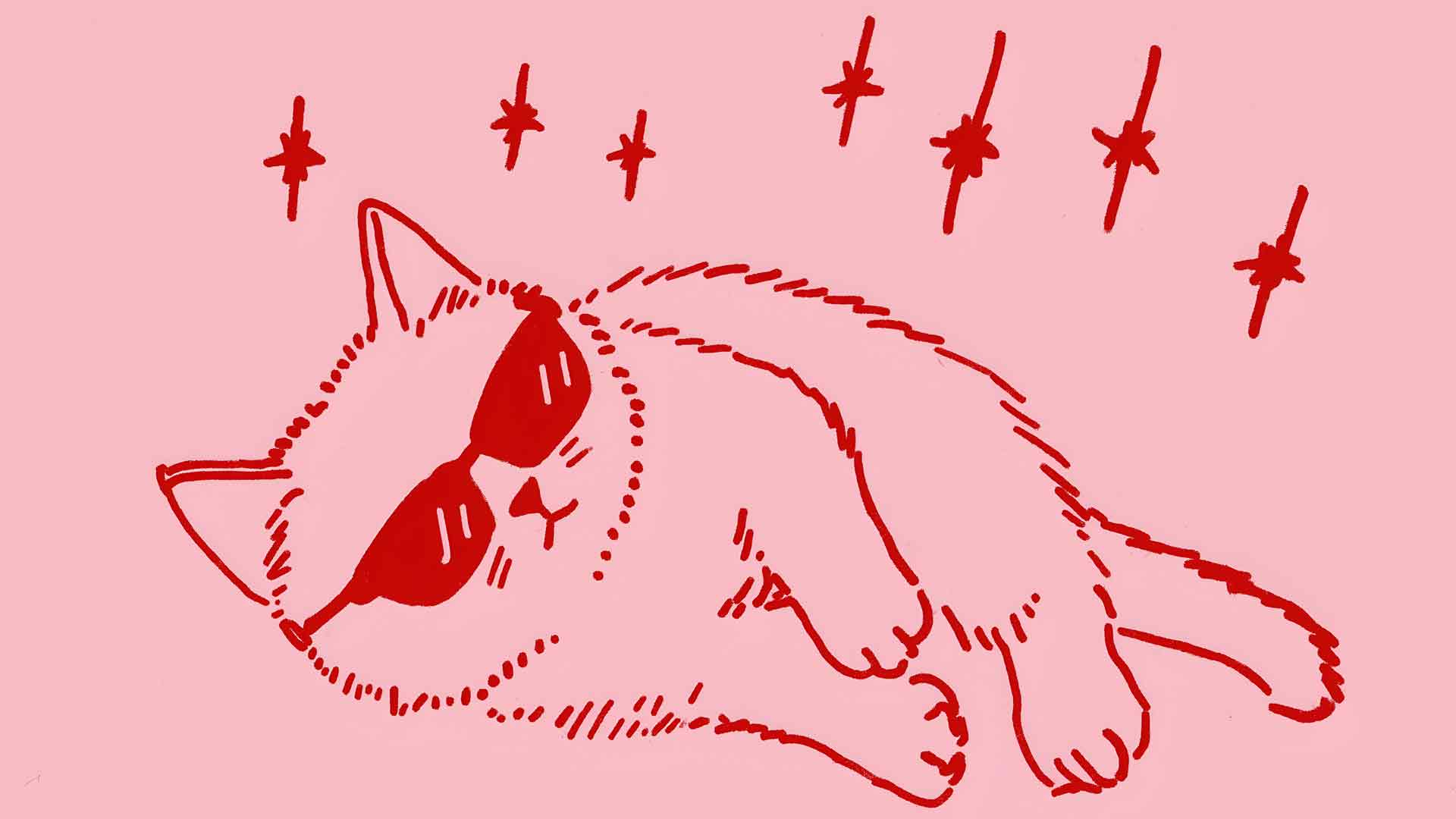 戴墨镜的酷猫绘画桌面壁纸