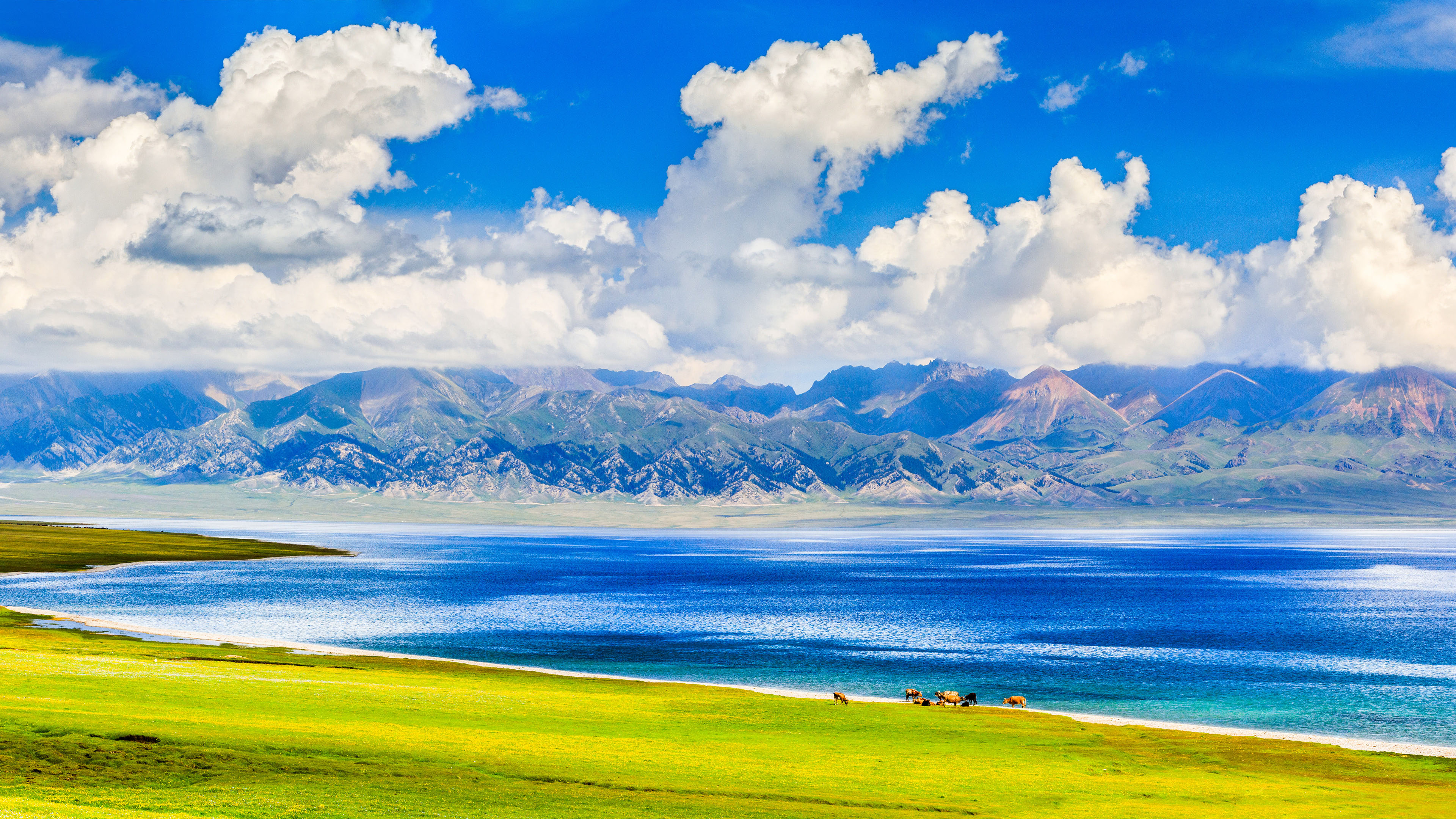 赛里木湖夏季美景