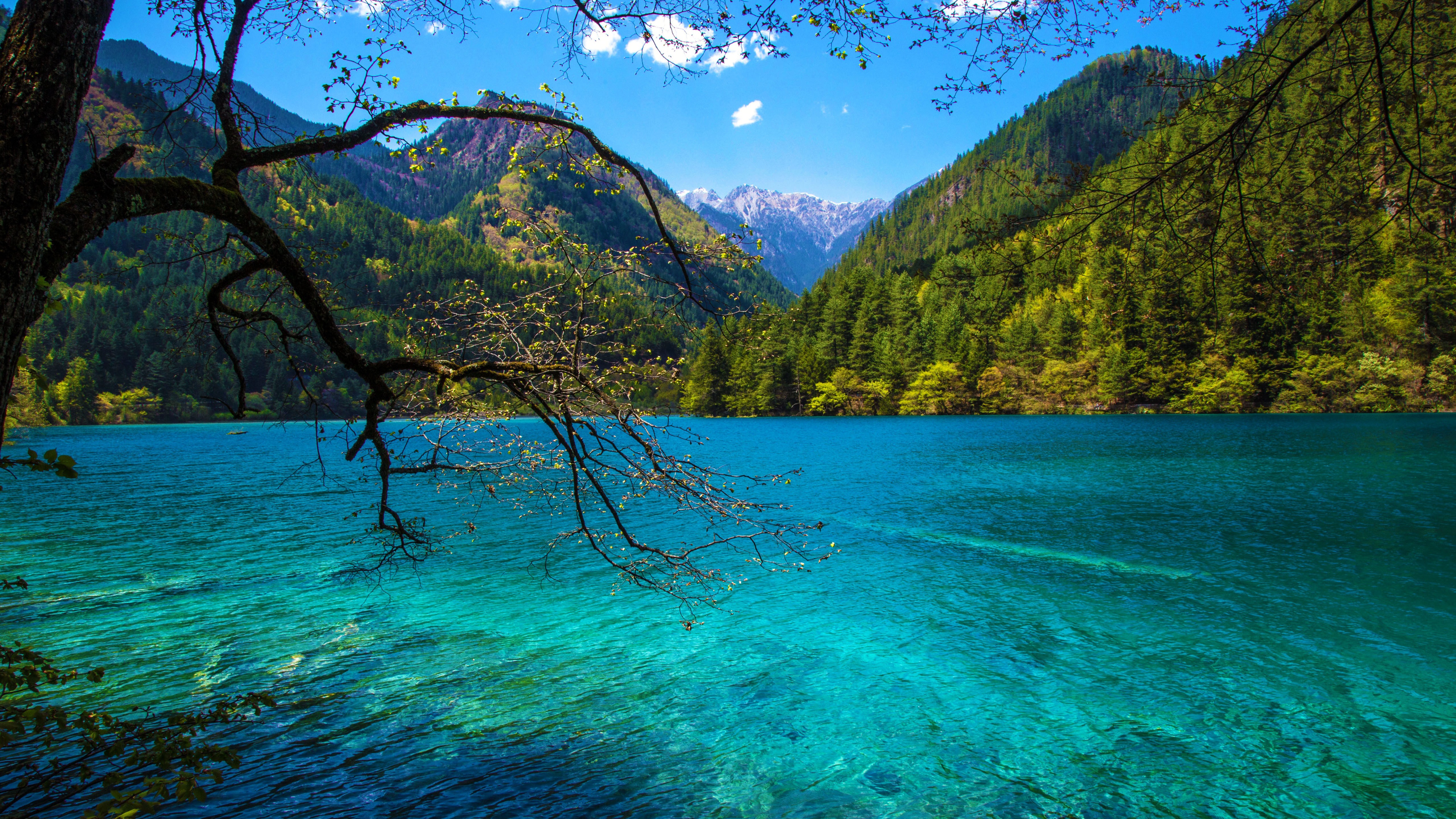 四川九寨沟国家公园夏湖