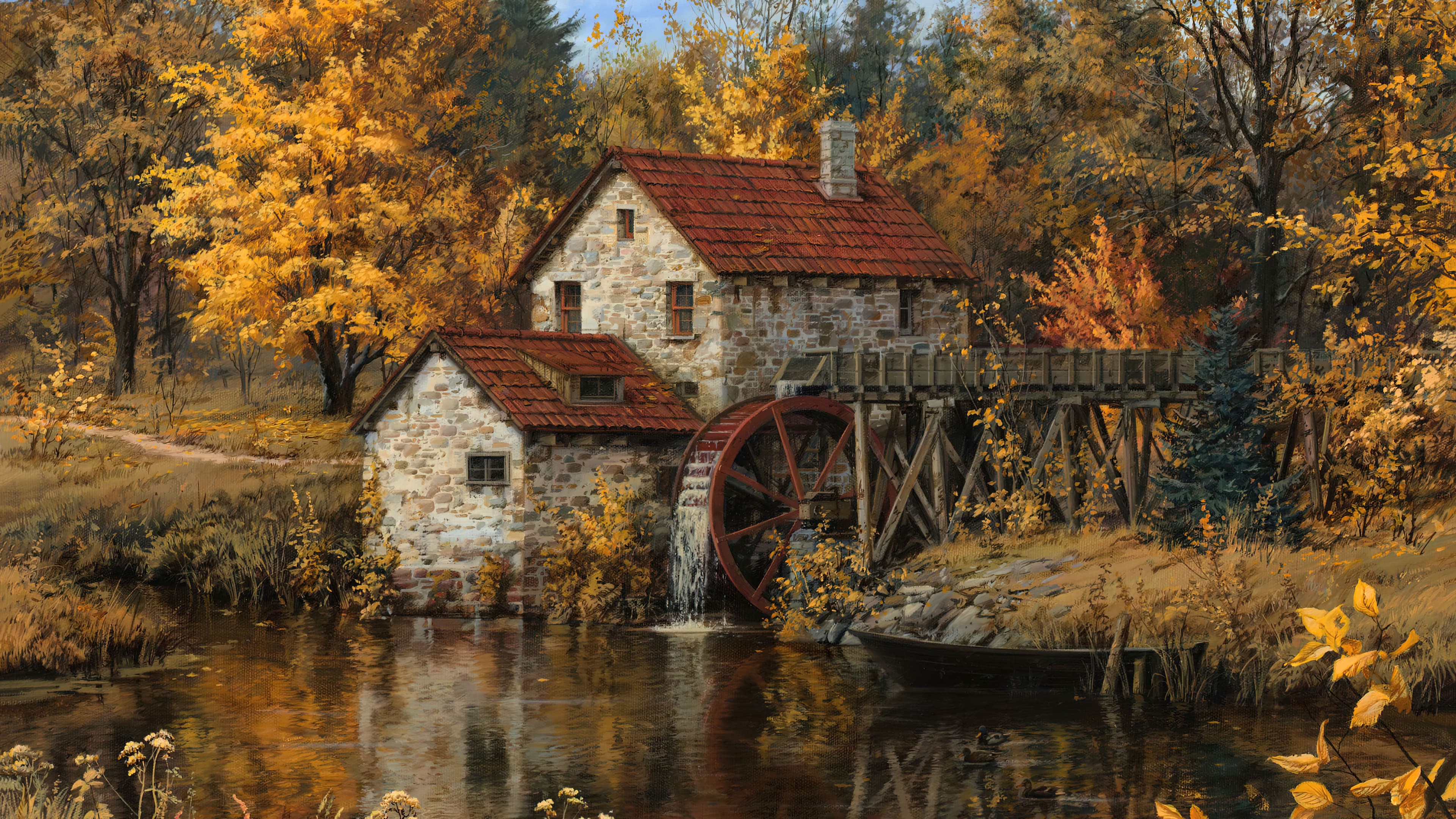 河流 田野 自然