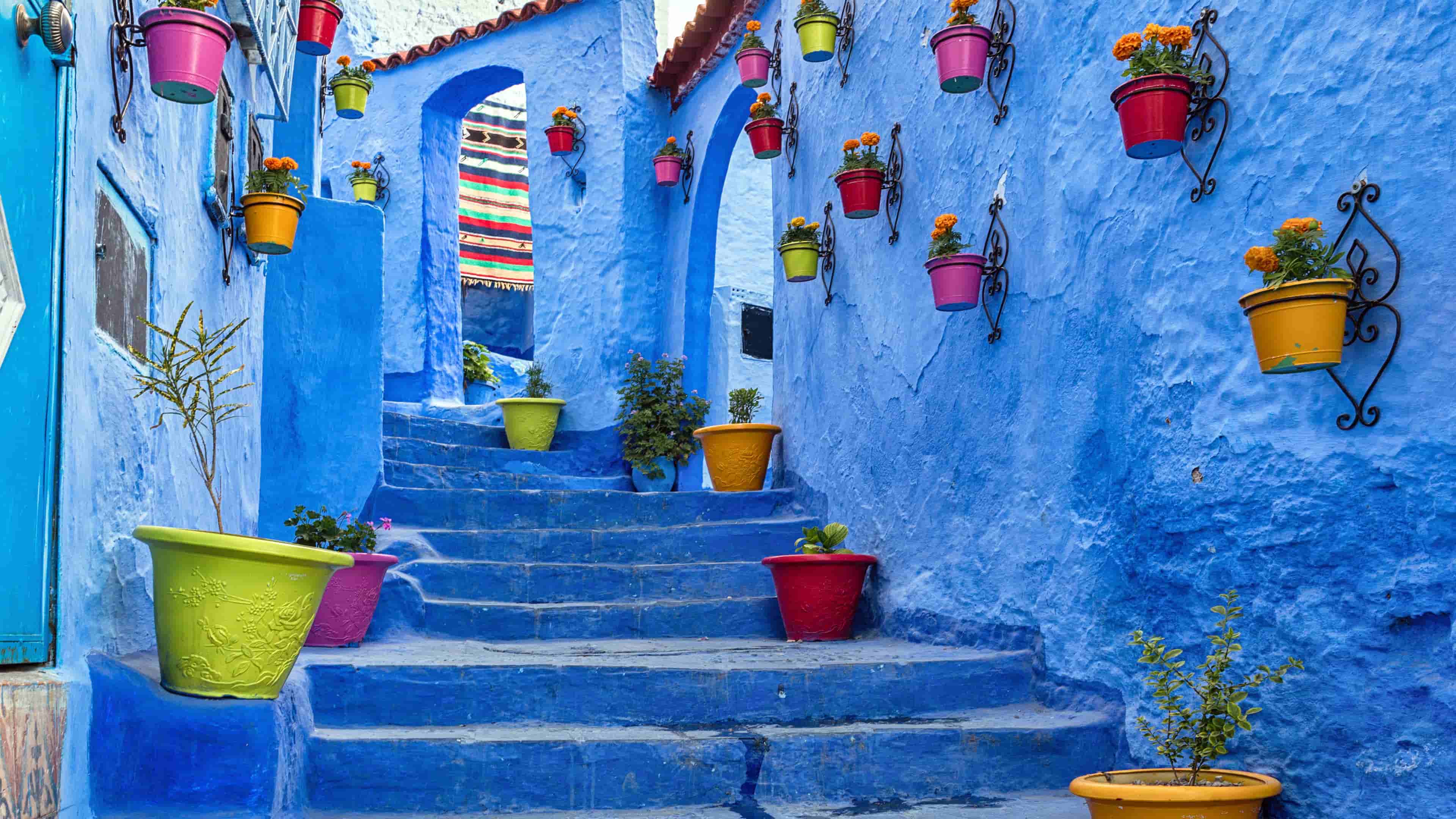 舍夫沙万蓝色墙壁旅游摩洛哥必应