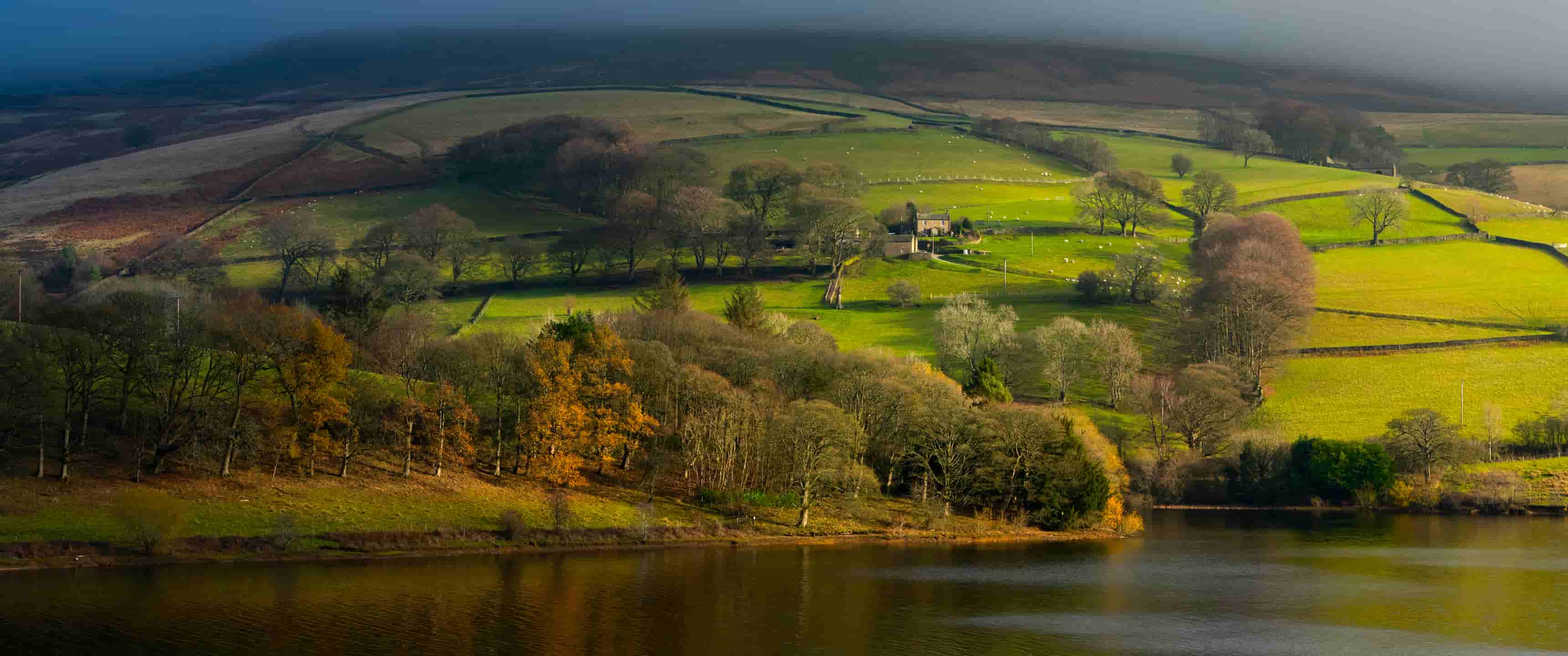 农场 田野 河流 房屋 绵羊 山丘 树林 带鱼屏风景壁纸