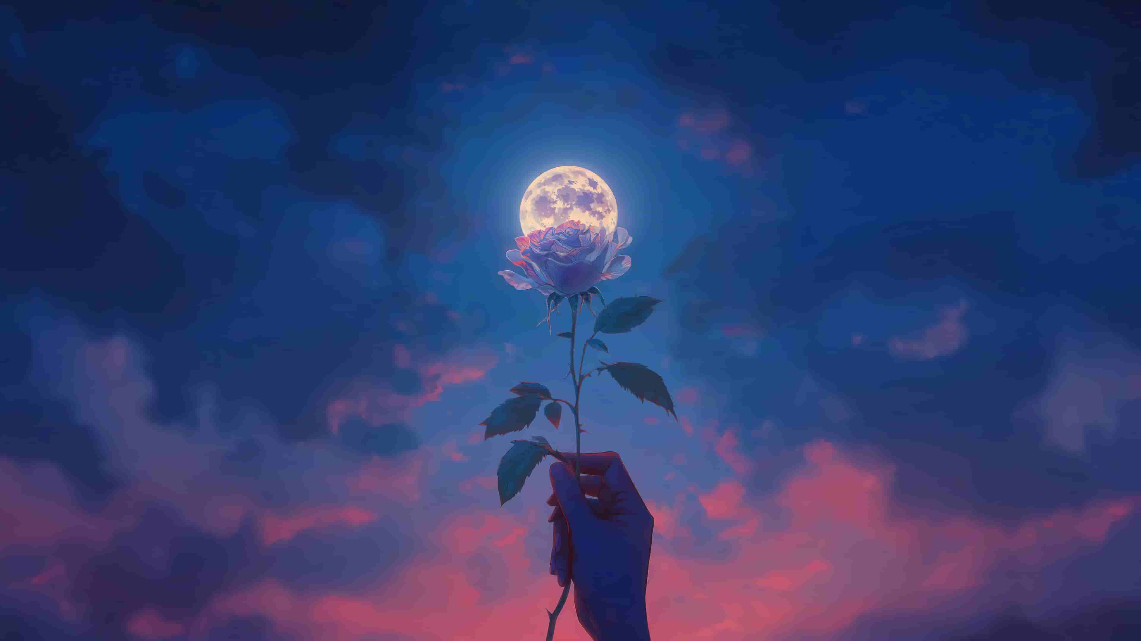 唯美月之花瓣 4k壁纸