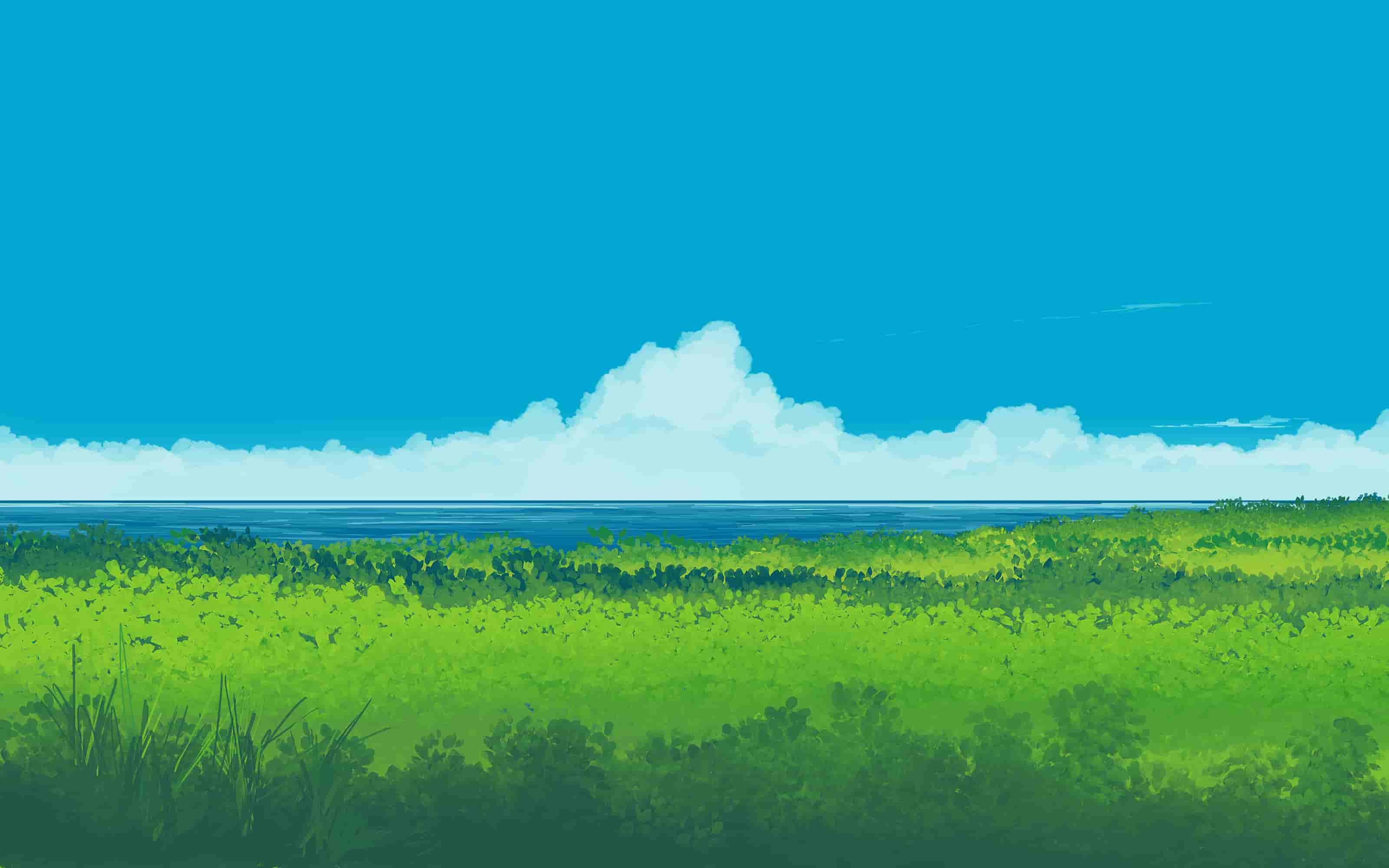 清新风景 天空云 大海 田野